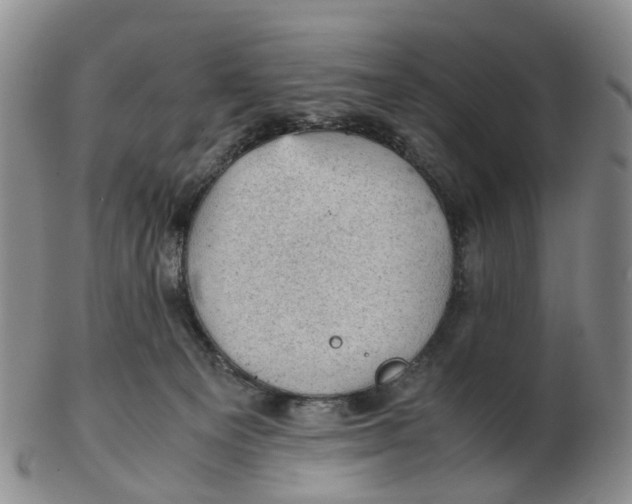 X0000103160129200809121846