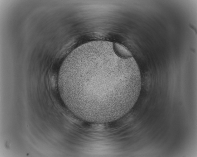 X0000103160131200809121846