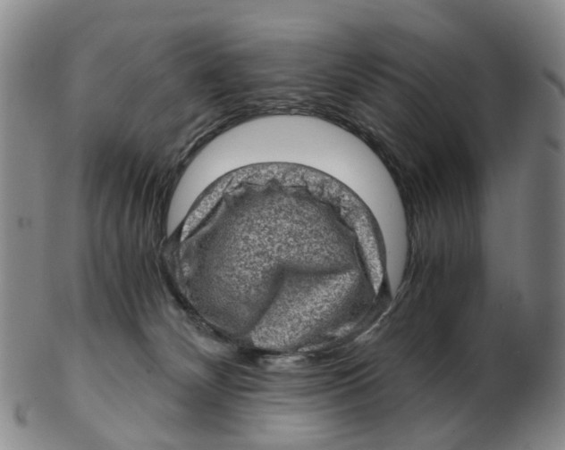 X0000103160132200809121846