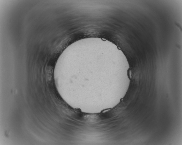 X0000103160133200809121846