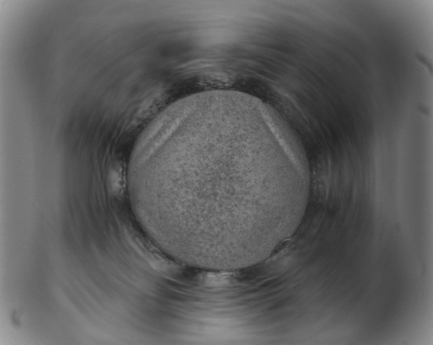 X0000103160134200809121846