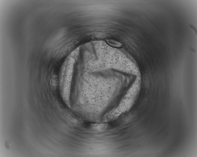 X0000103160135200809121846