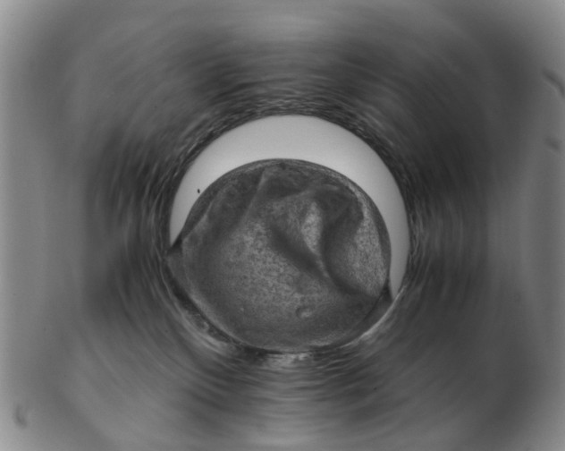 X0000103160136200809121846