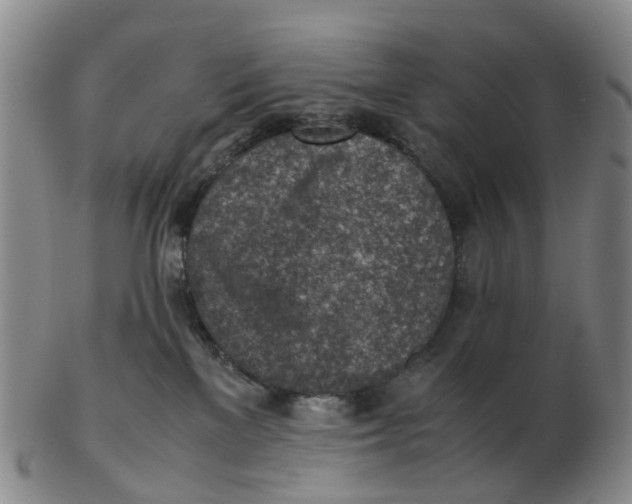 X0000103160137200809121846