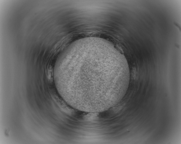 X0000103160138200809121846