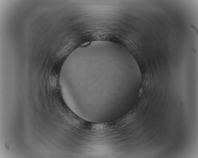 X0000103160139200809121846