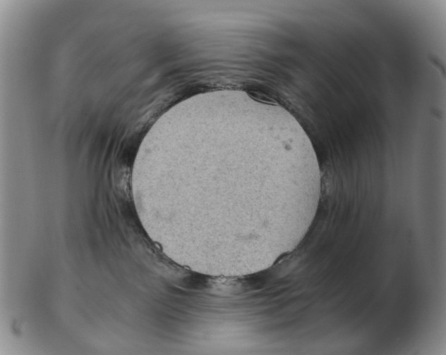 X0000103160141200809121846