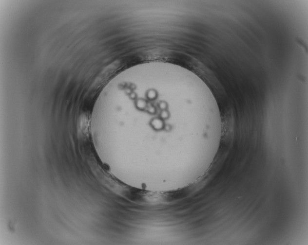 X0000103160142200809121846