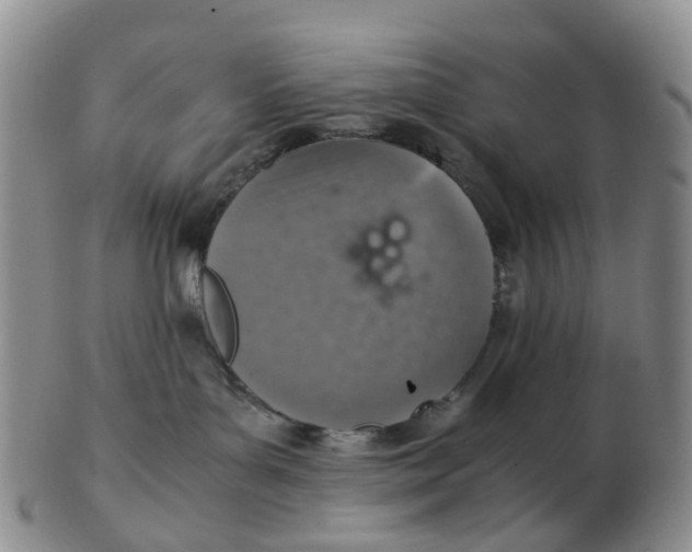 X0000103160143200809121846