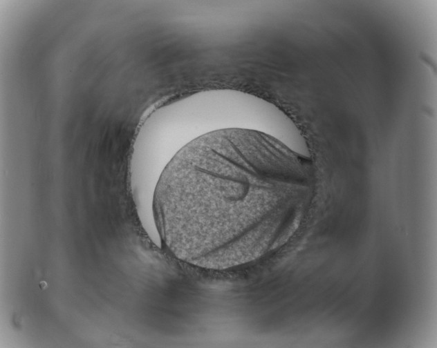 X0000103160144200809121846