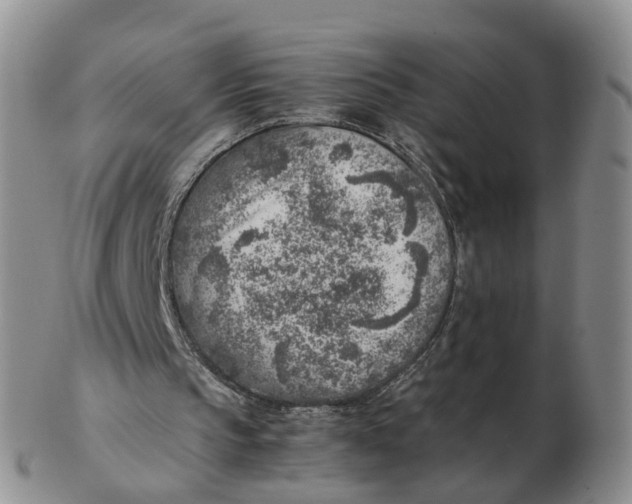 X0000103160145200809121845