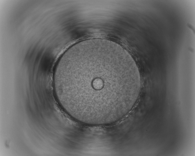 X0000103160146200809121845