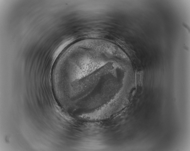 X0000103160147200809121845