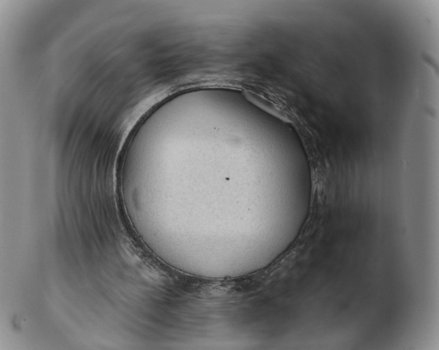 X0000103160148200809121845