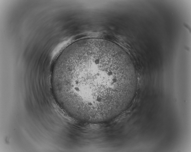 X0000103160149200809121845