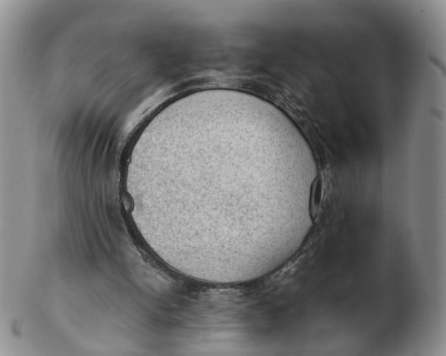 X0000103160150200809121845