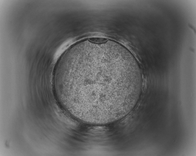 X0000103160151200809121845