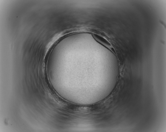 X0000103160152200809121845