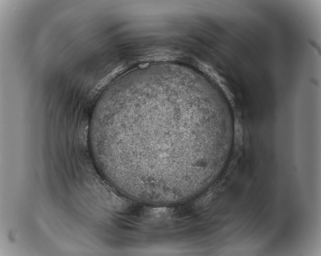 X0000103160153200809121845