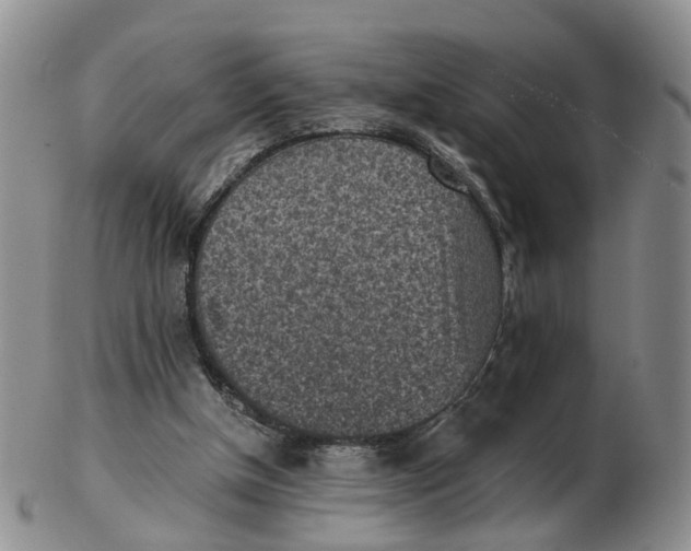 X0000103160154200809121845