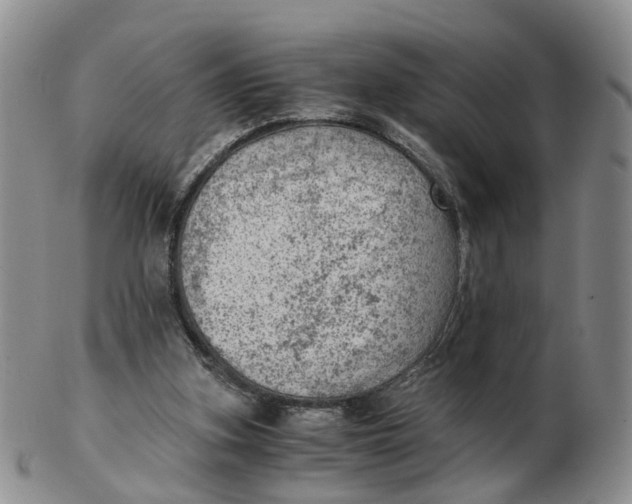 X0000103160155200809121845