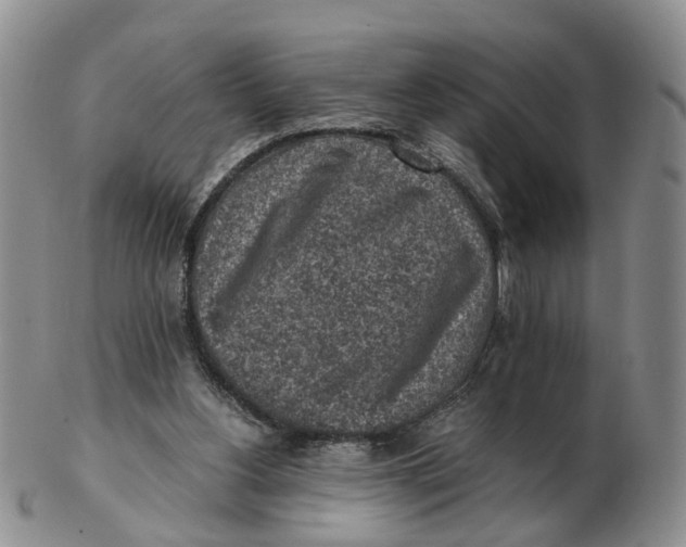 X0000103160156200809121845