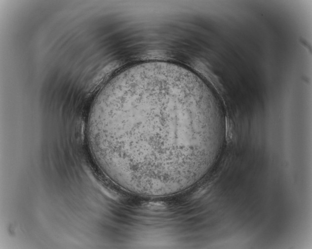 X0000103160157200809121845