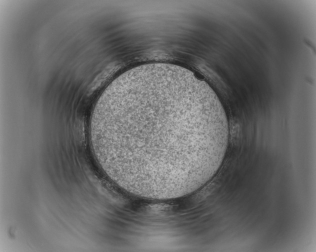 X0000103160158200809121845