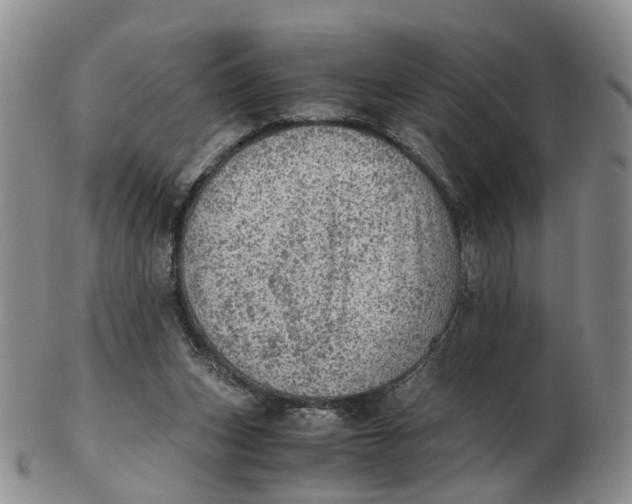 X0000103160159200809121845