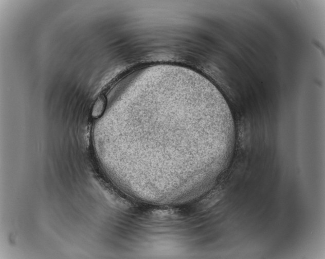 X0000103160160200809121845