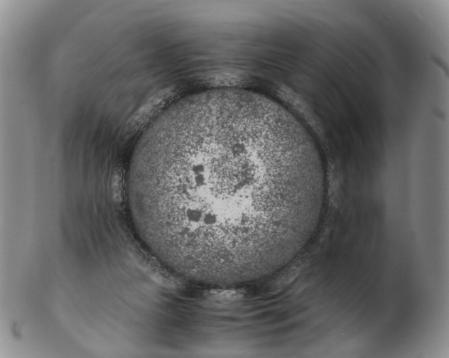 X0000103160161200809121846