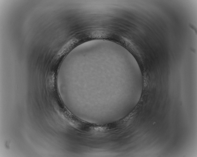 X0000103160163200809121846