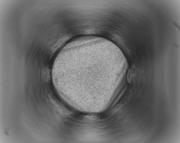 X0000103160164200809121846