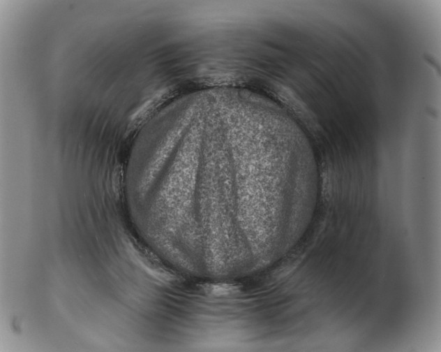 X0000103160165200809121846