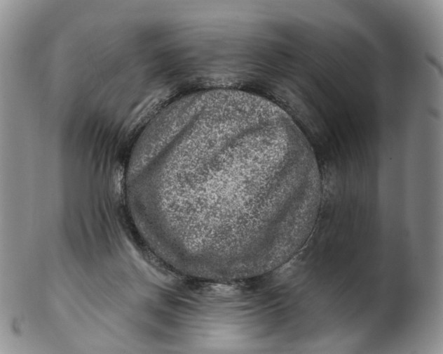 X0000103160166200809121846