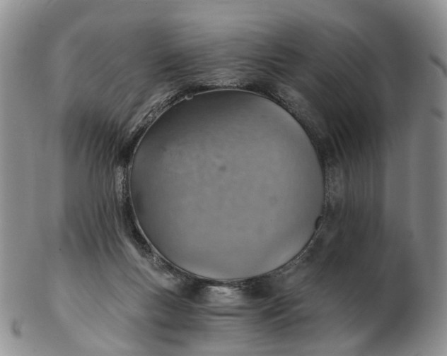 X0000103160167200809121846