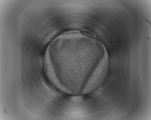 X0000103160168200809121846