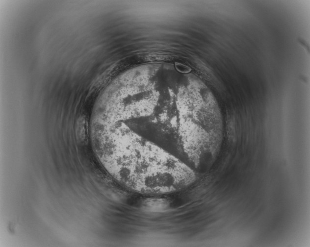 X0000103160169200809121846