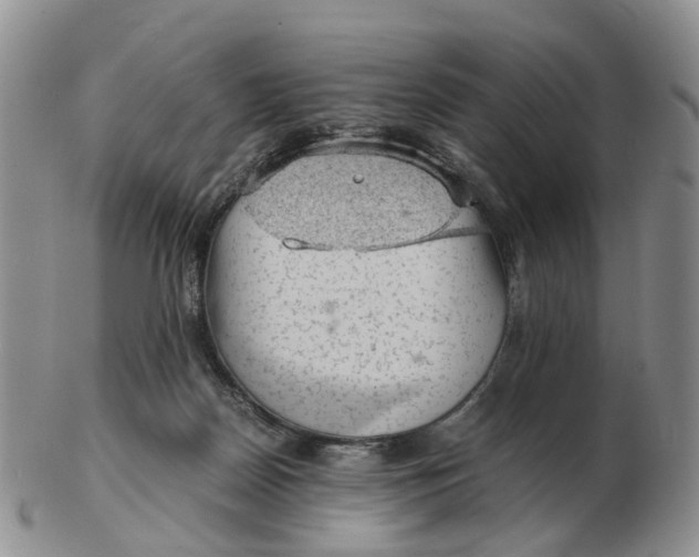 X0000103160170200809121846