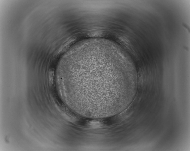 X0000103160171200809121846