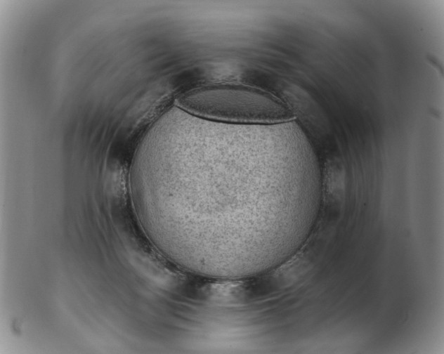 X0000103160172200809121846