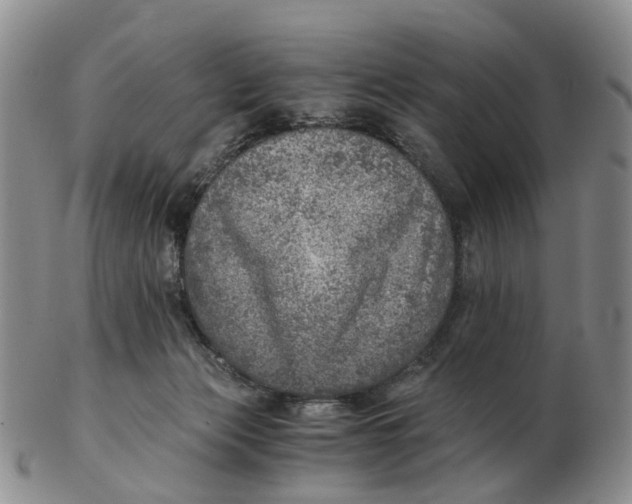 X0000103160173200809121846