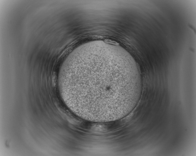 X0000103160174200809121846