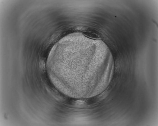 X0000103160176200809121846