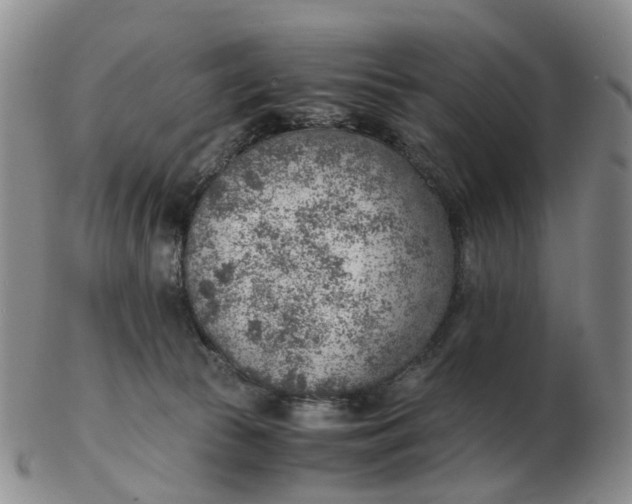 X0000103160177200809121846