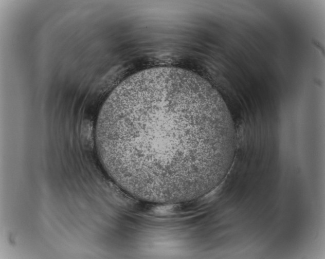 X0000103160178200809121846