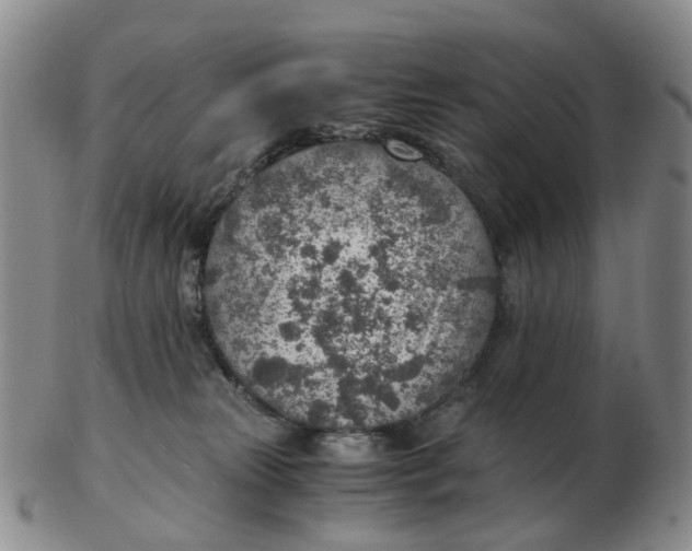 X0000103160181200809121846