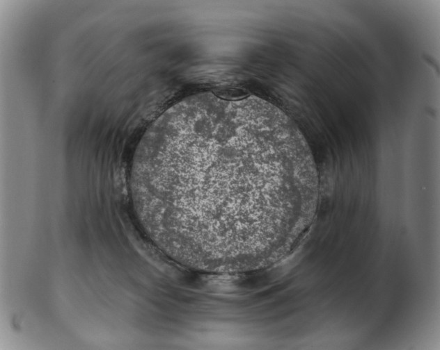 X0000103160182200809121846