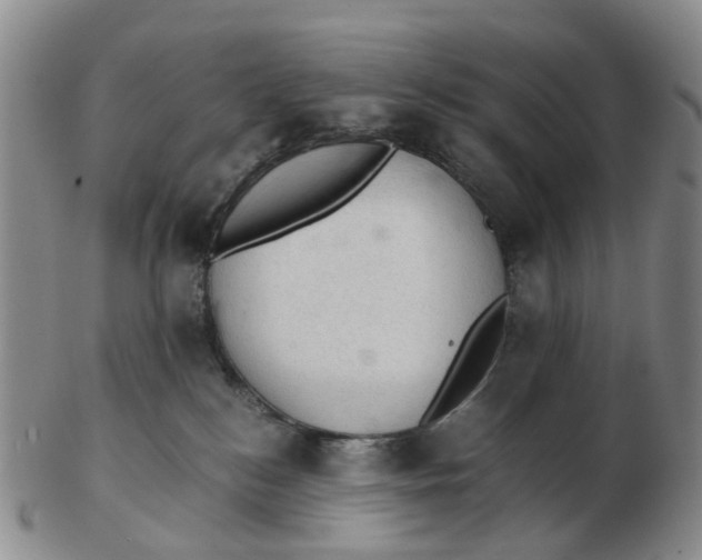 X0000103160184200809121846