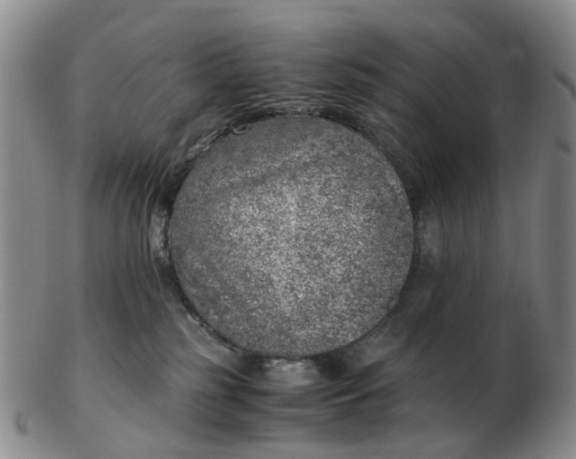 X0000103160185200809121846